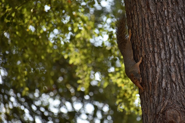 00后要强又真强!蒙牛点亮中国足球少年“奥运梦”.