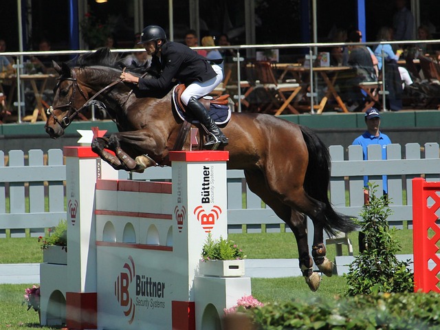 关注度超高！孙颖莎训练，马琳邱贻可督战，刘诗栋等.